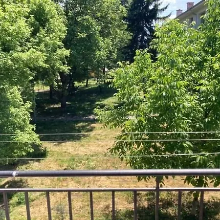 Apartment Viviana