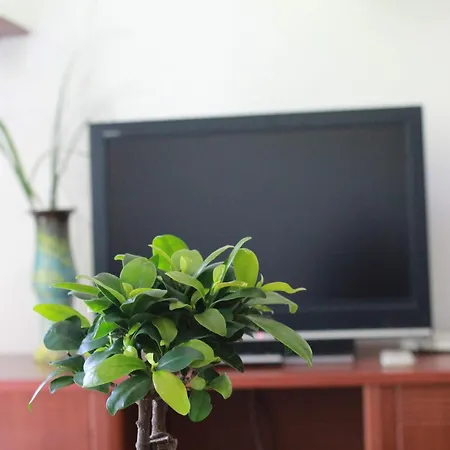 Viviana Apartment *
